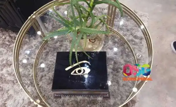 What GOtv Subscribers Should Expect on Big Brother Naija